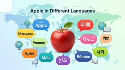 Apple in Different Languages